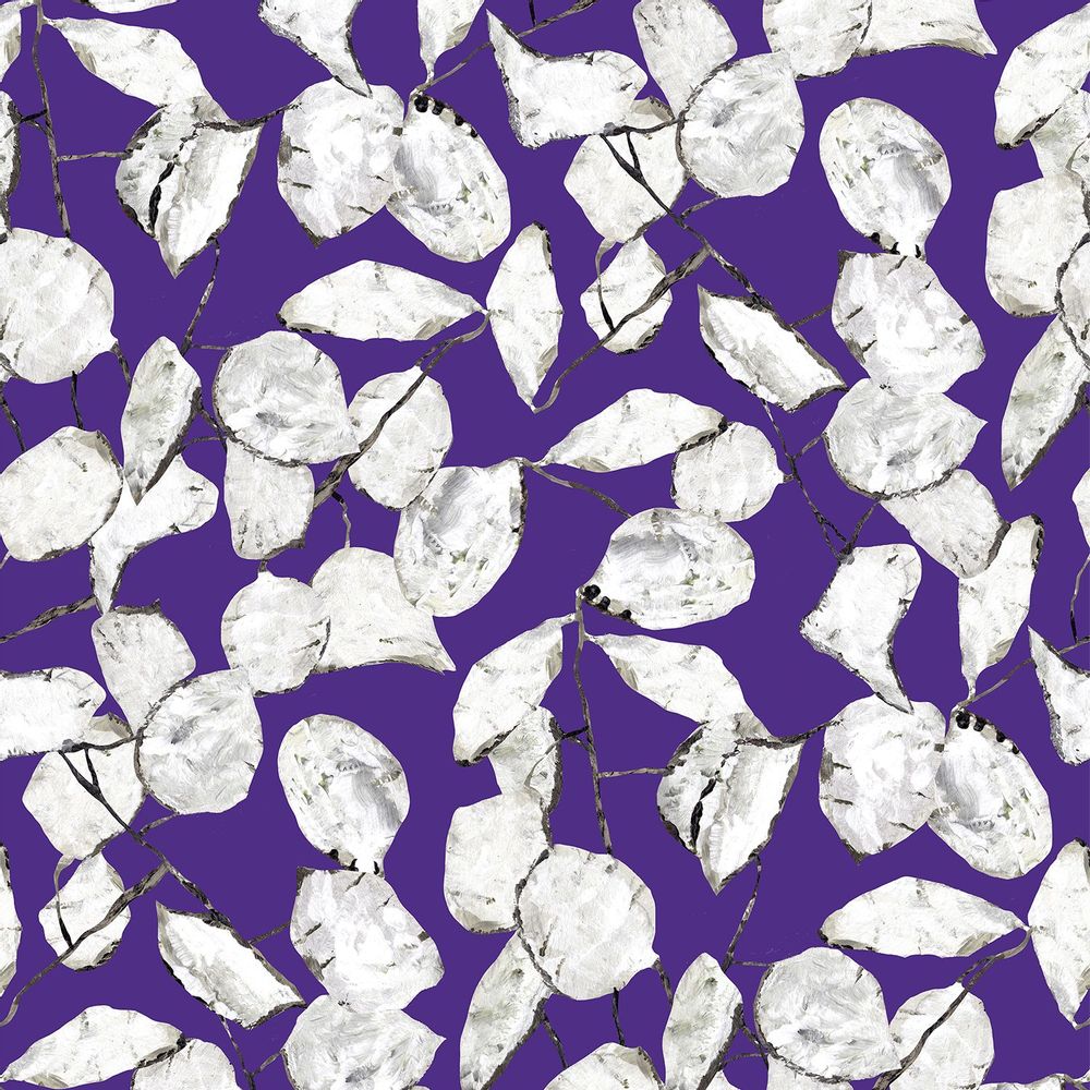 Wallpaper - Wallpaper Lunaria Annua - EDITO