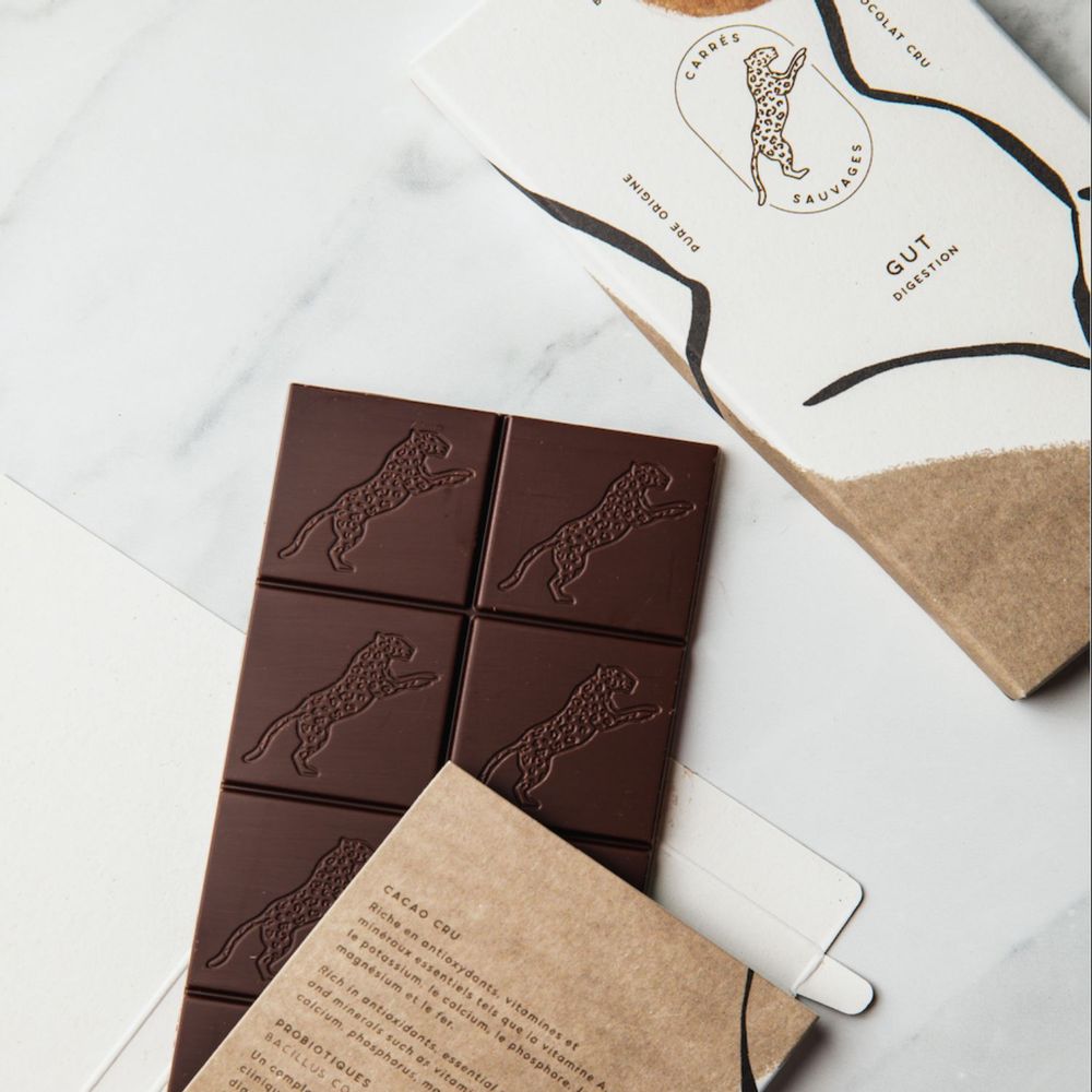 Chocolat - GUT – Digestion - CARRES SAUVAGES
