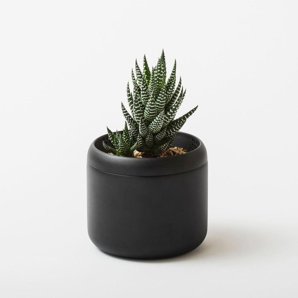 Vases - PLANT POT HACHI - FUJITA KINZOKU