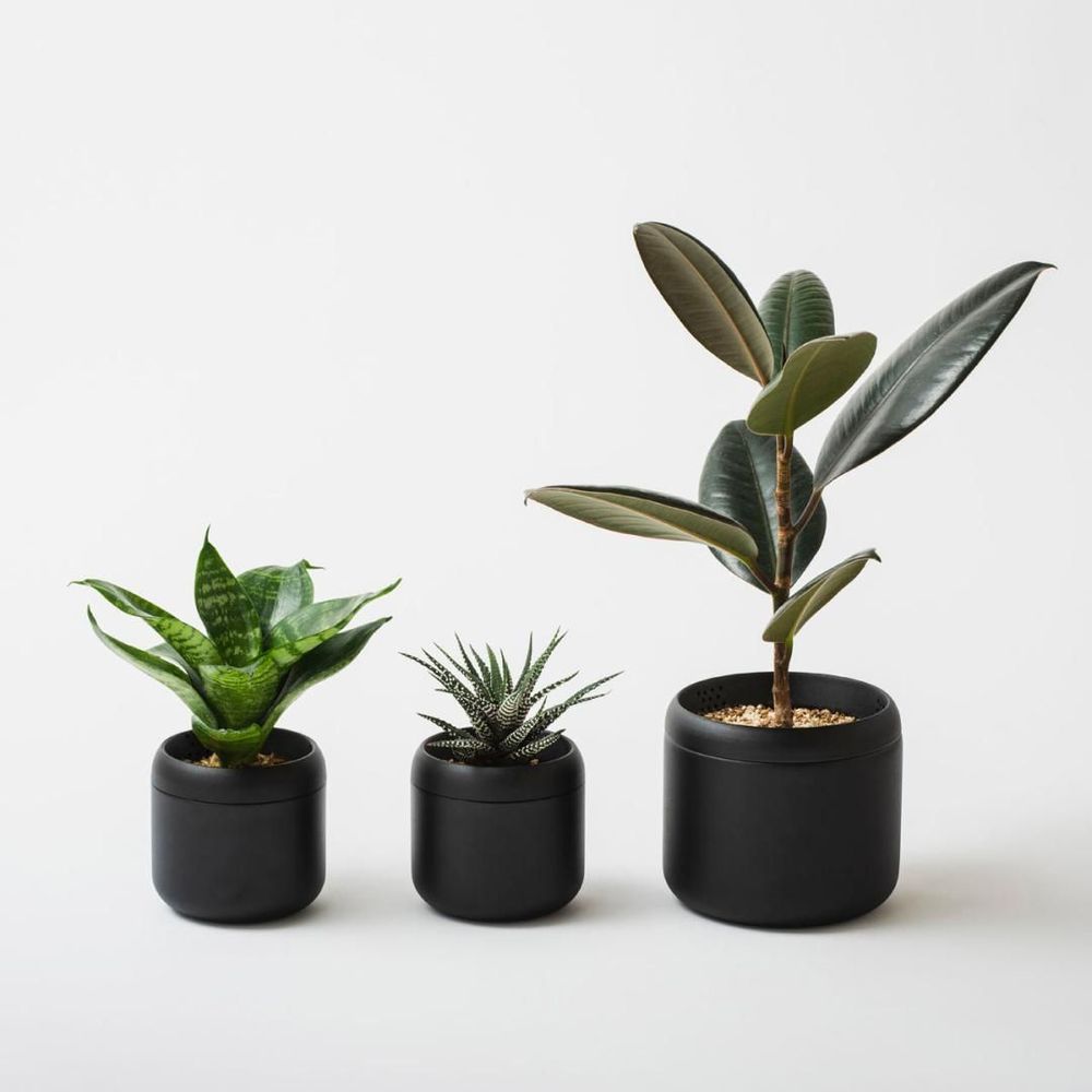 Vases - PLANT POT HACHI - FUJITA KINZOKU
