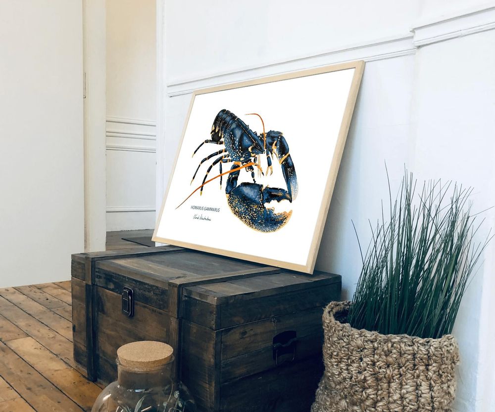 Affiches - Affiche Le Homard - Reproduction sur papier d'art - VAREK ILLUSTRATIONS
