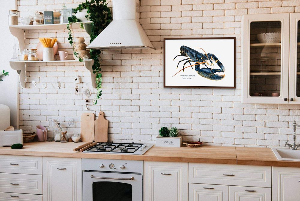 Affiches - Affiche Le Homard - Reproduction sur papier d'art - VAREK ILLUSTRATIONS