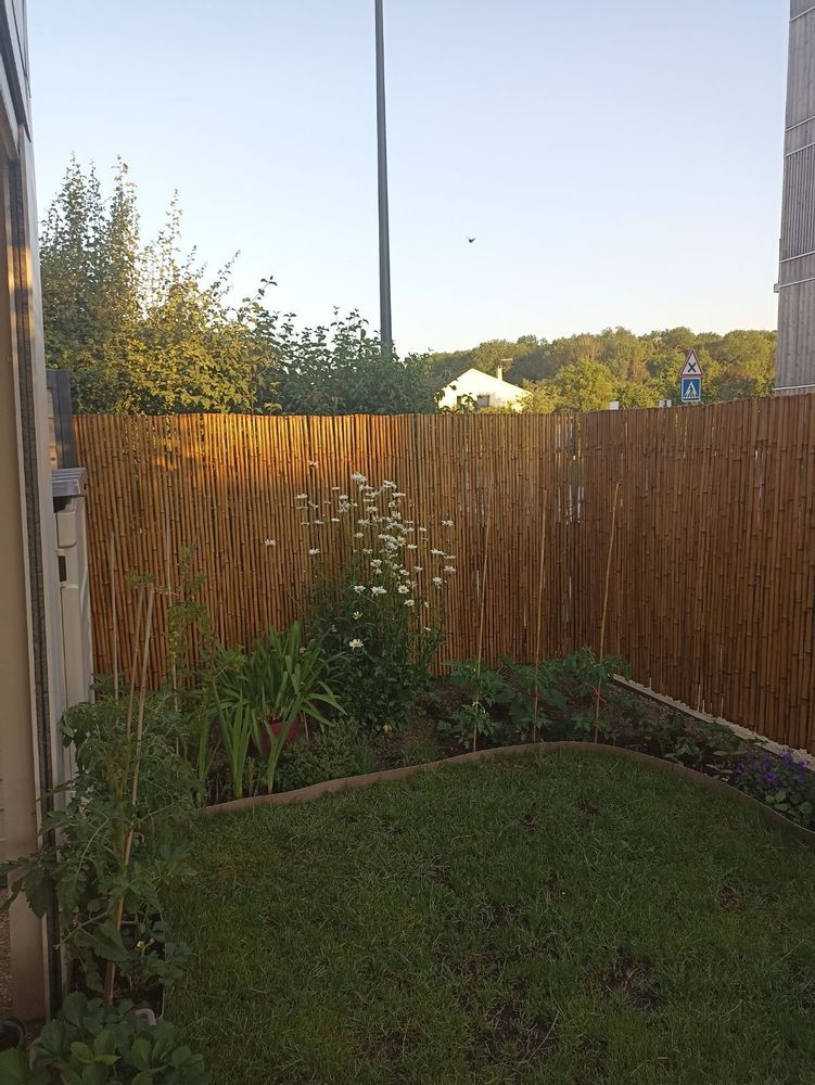Outdoor decorative accessories - Regular Range Bamboo Fence, Privacy Screen - Ref: 2-RF - BAMBOULAND