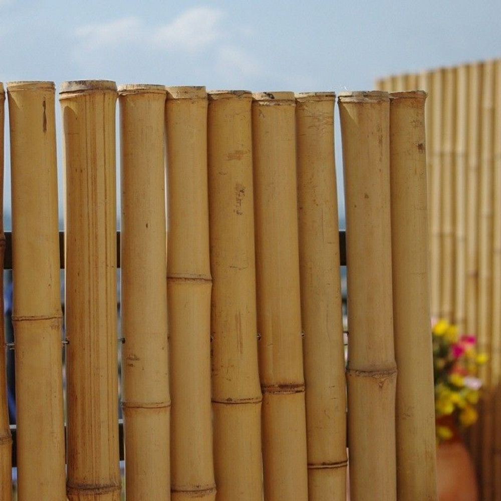 Outdoor decorative accessories - Regular Range Solid Bamboo Fencing - Ref: 7-RF - BAMBOULAND