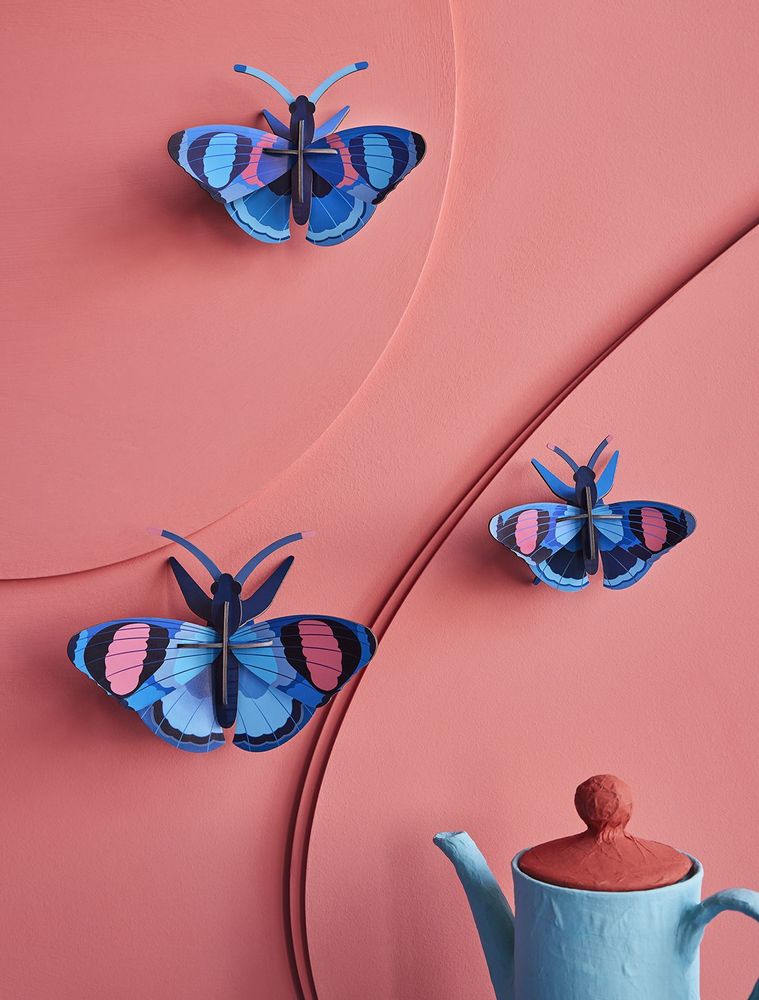 Other wall decoration - Butterflies & Beetles - STUDIO ROOF