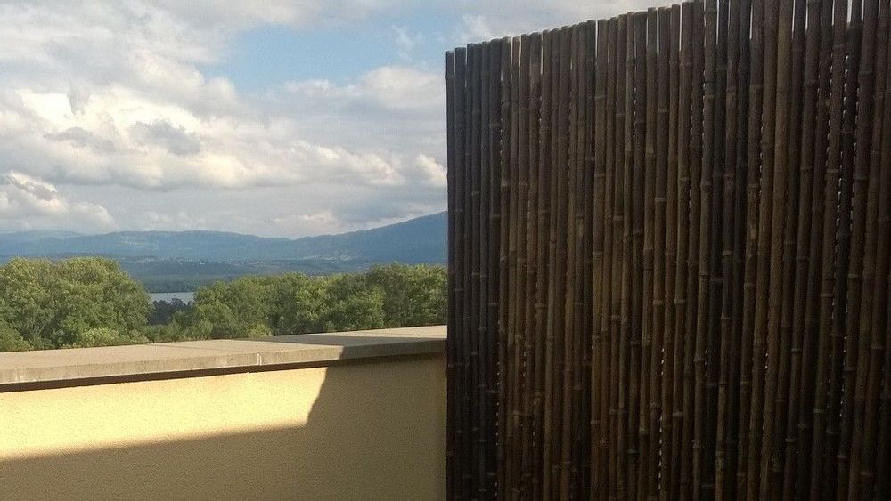 Outdoor decorative accessories - Fence, Regular Range Black Bamboo Panel - Ref: 2-RBF - BAMBOULAND