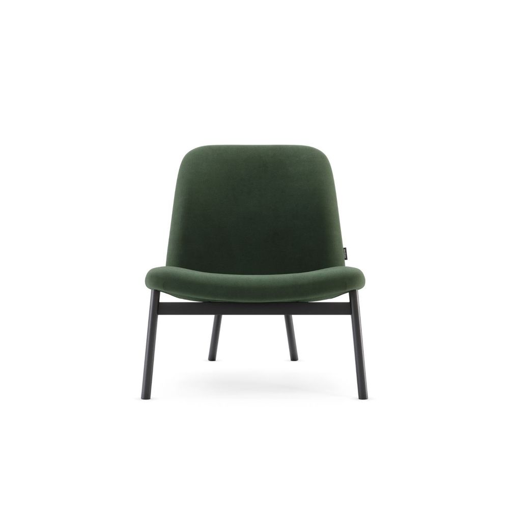 Chairs for hospitalities & contracts - Edison Armchair - DOMKAPA
