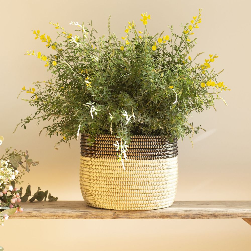 Flower pots - POT POT African basket Pot cover Bi-Coulor Ø 35 cm / H 25 cm - KAWOBAZAAR