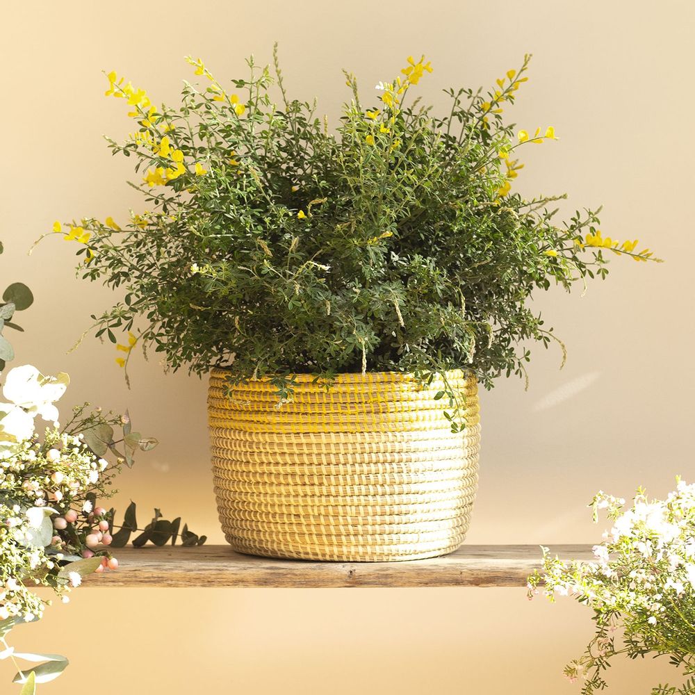 Flower pots - POT POT African basket Pot cover Bi-Coulor Ø 35 cm / H 25 cm - KAWOBAZAAR