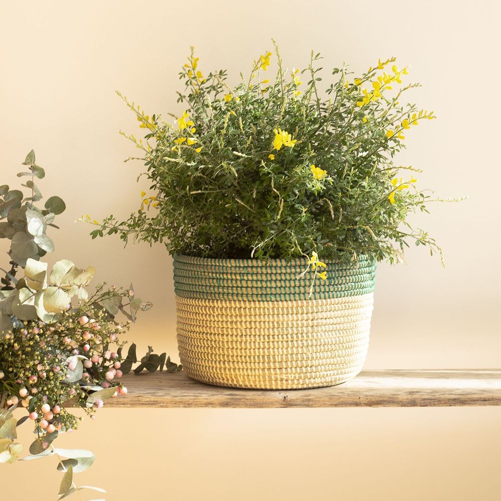 Flower pots - POT POT African basket Pot cover Bi-Coulor Ø 35 cm / H 25 cm - KAWOBAZAAR