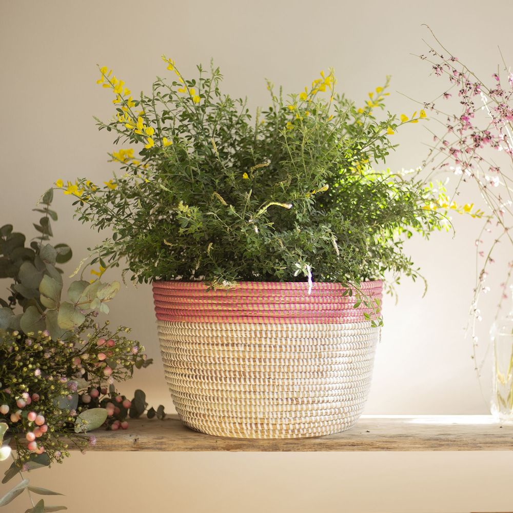 Flower pots - POT POT African basket Pot cover Bi-Coulor Ø 35 cm / H 25 cm - KAWOBAZAAR