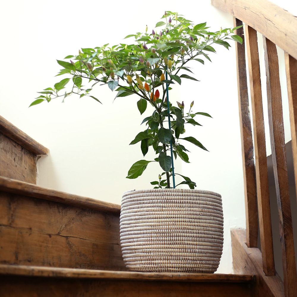 Pots de fleurs - POT XL Panier Africain Cache pot Corbeille H 35 cm / Ø 45 cm - KAWOBAZAAR