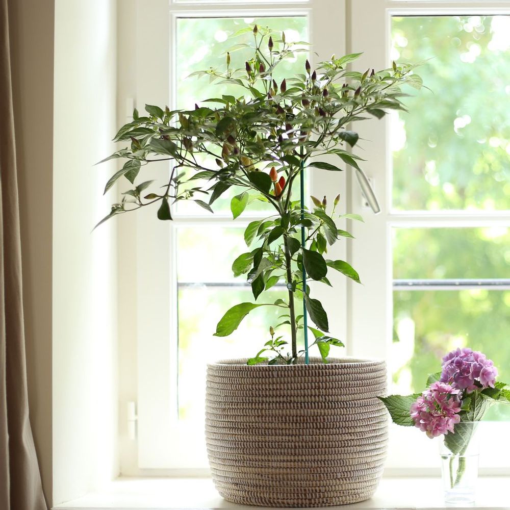 Pots de fleurs - POT XL Panier Africain Cache pot Corbeille H 35 cm / Ø 45 cm - KAWOBAZAAR