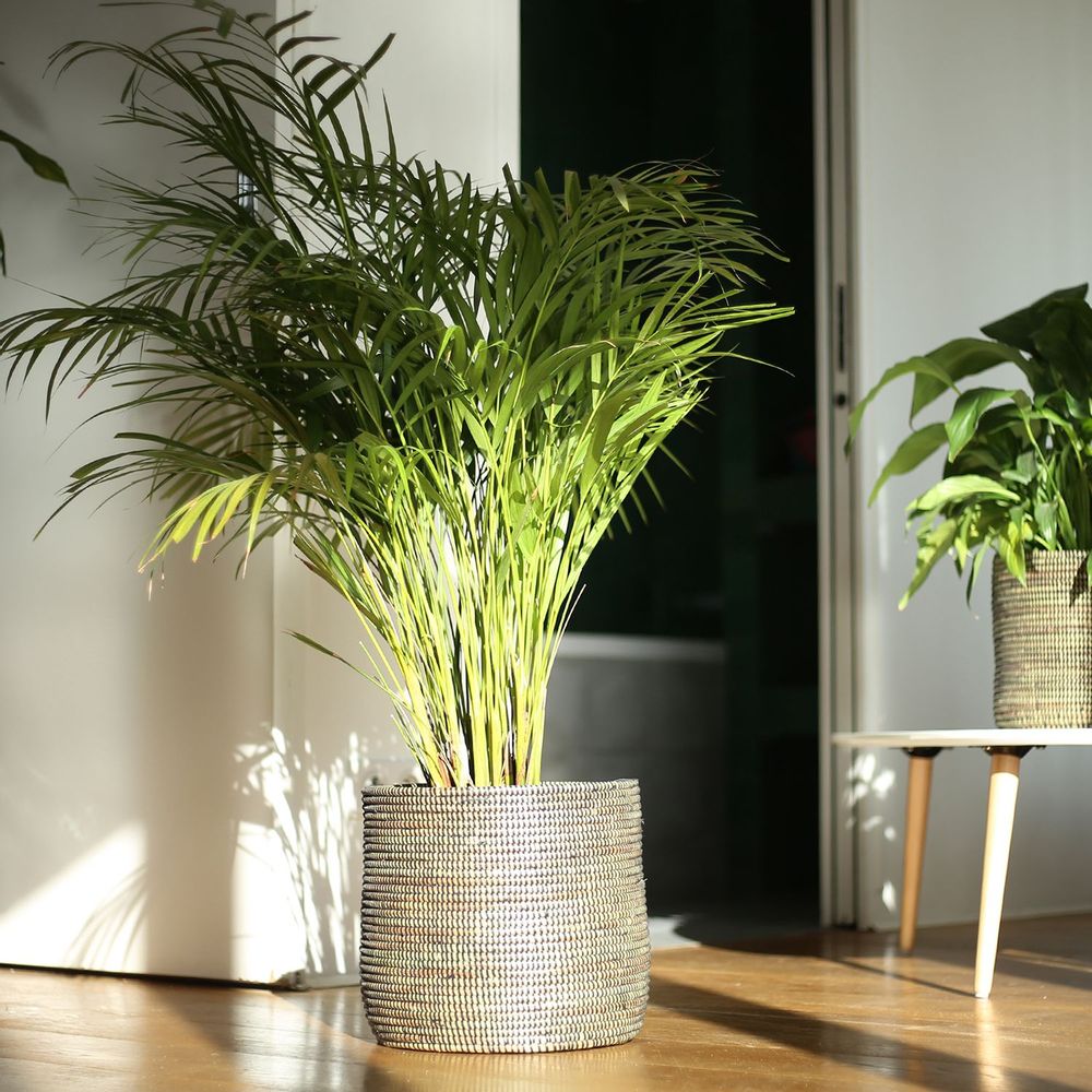 Pots de fleurs - POT XL Panier Africain Cache pot Corbeille H 35 cm / Ø 45 cm - KAWOBAZAAR