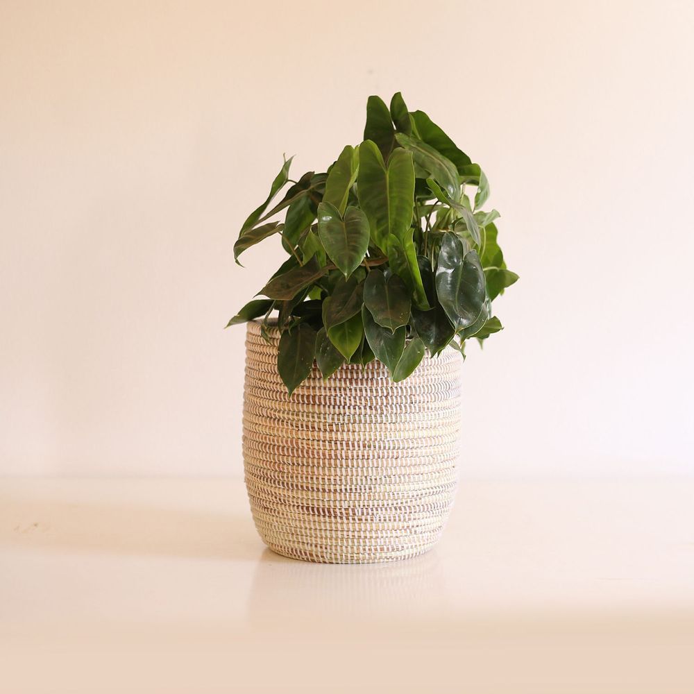 Flower pots - POT M Panier Africain Cache pot Corbeille H20 cm / Ø 25 cm - KAWOBAZAAR