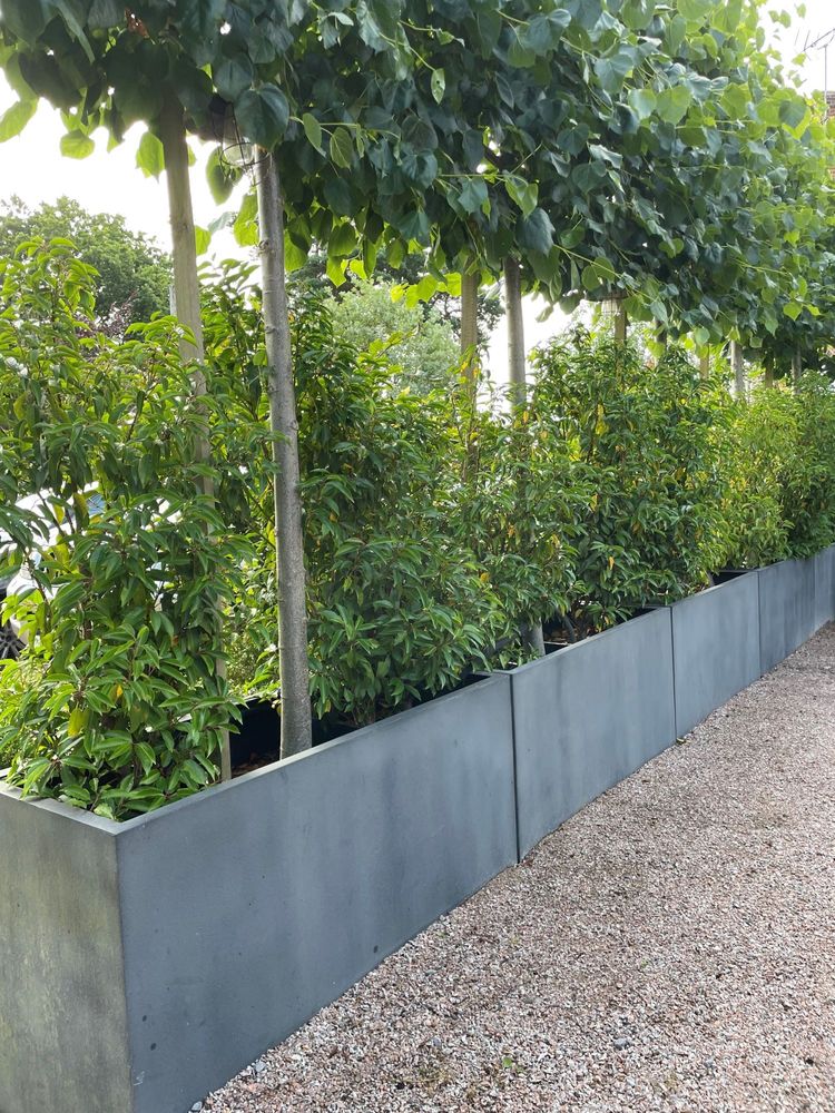 Pots de fleurs - Abreuvoirs géométriques - CAPITAL GARDEN PRODUCTS LTD