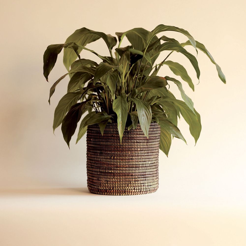 Flower pots - POT M Panier Africain Cache pot Corbeille H20 cm / Ø 25 cm - KAWOBAZAAR