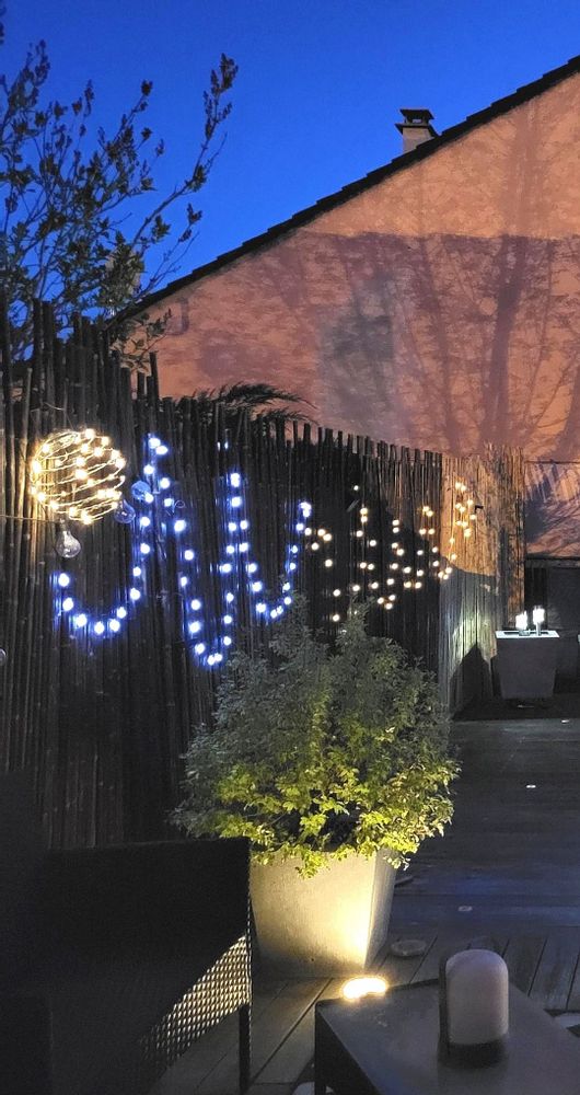Outdoor decorative accessories - Bamboo fence, windbreak from the Sauvage Range - 2-WBF - BAMBOULAND
