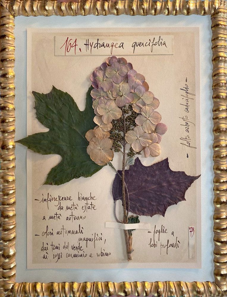 Decorative objects - ORGL - OFFICINA NATURALIS