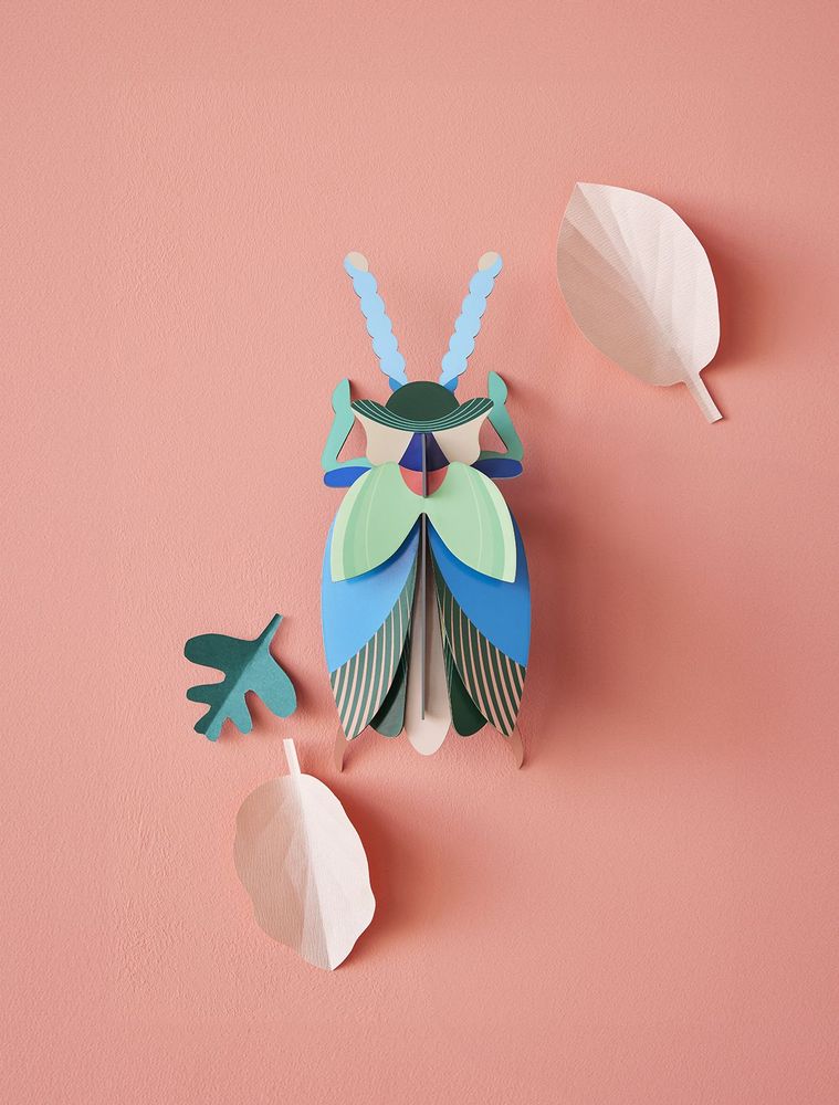 Other wall decoration - Butterflies & Beetles - STUDIO ROOF