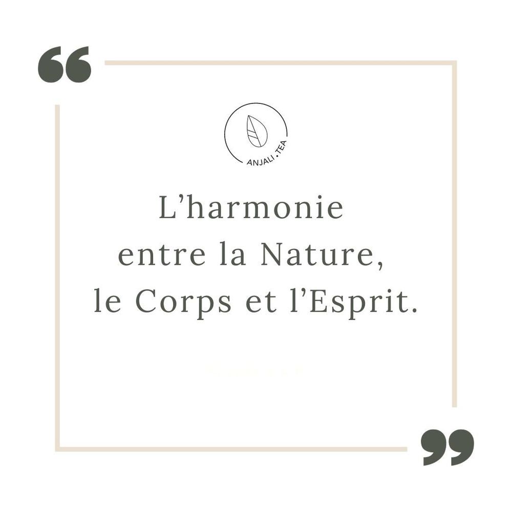 Café et thé - Tisane Apaisante - MAKE A WISH - ANJALITEA