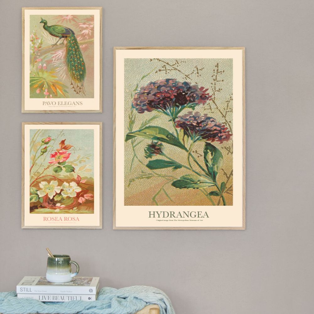 Poster - Vintage posters with beautiful vintage motives - SPLIID