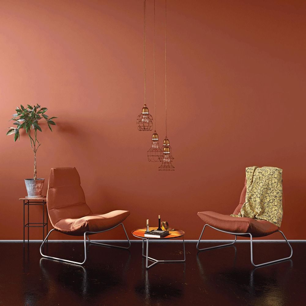 Paints and varnishes - DAISY BIO-BASED PAINT - COLLECTION N°422 - CAMAËLLE PEINTURES BIOSOURCÉES