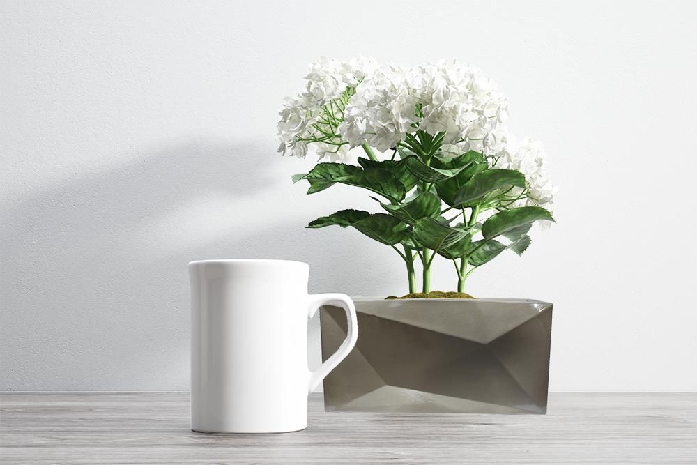 Vases - ROMANESCO - à la jardinière - VASO VITA - VASES ORNEMENTAUX (DECORATIFS)