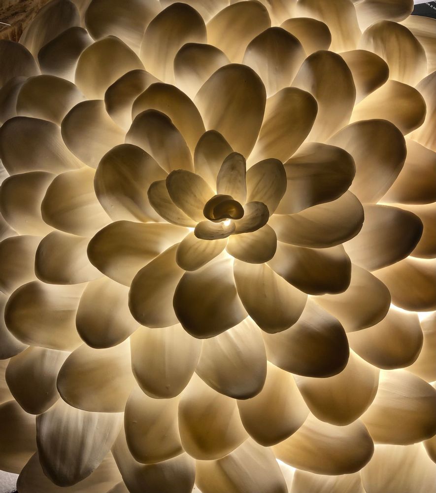 Appliques - Mezza Luce - ZigZag - BARBARA BILLOUD