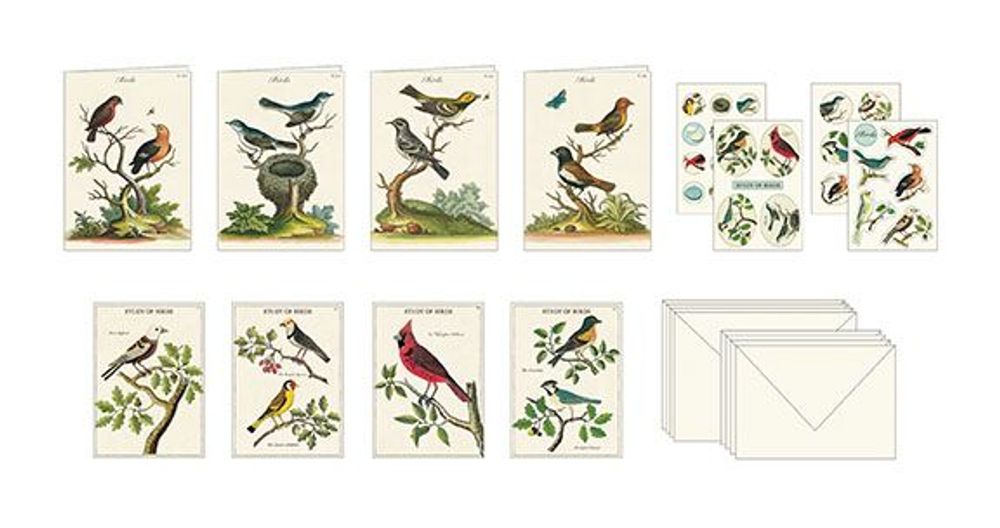 Card shop - Stationery Set - CAVALLINI & CO.