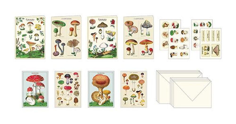 Card shop - Stationery Set - CAVALLINI & CO.