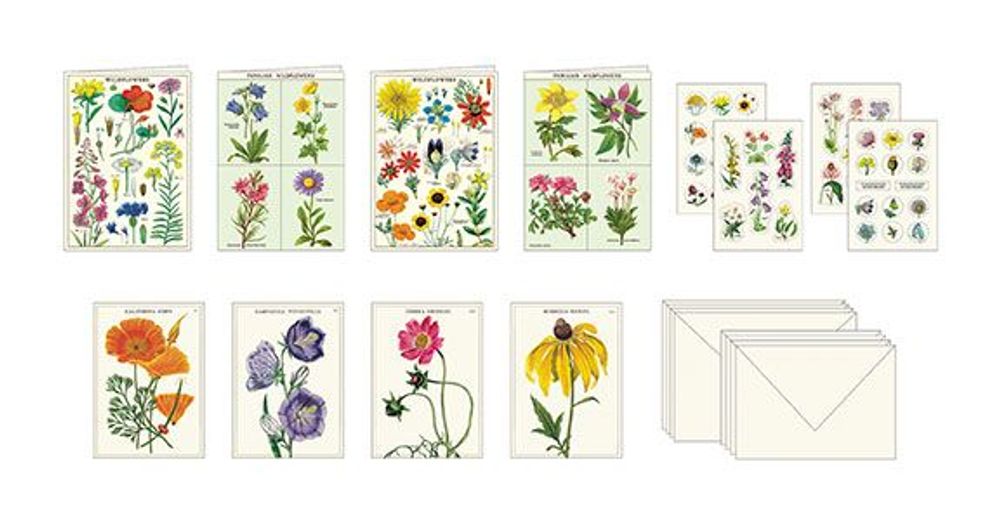 Card shop - Stationery Set - CAVALLINI & CO.