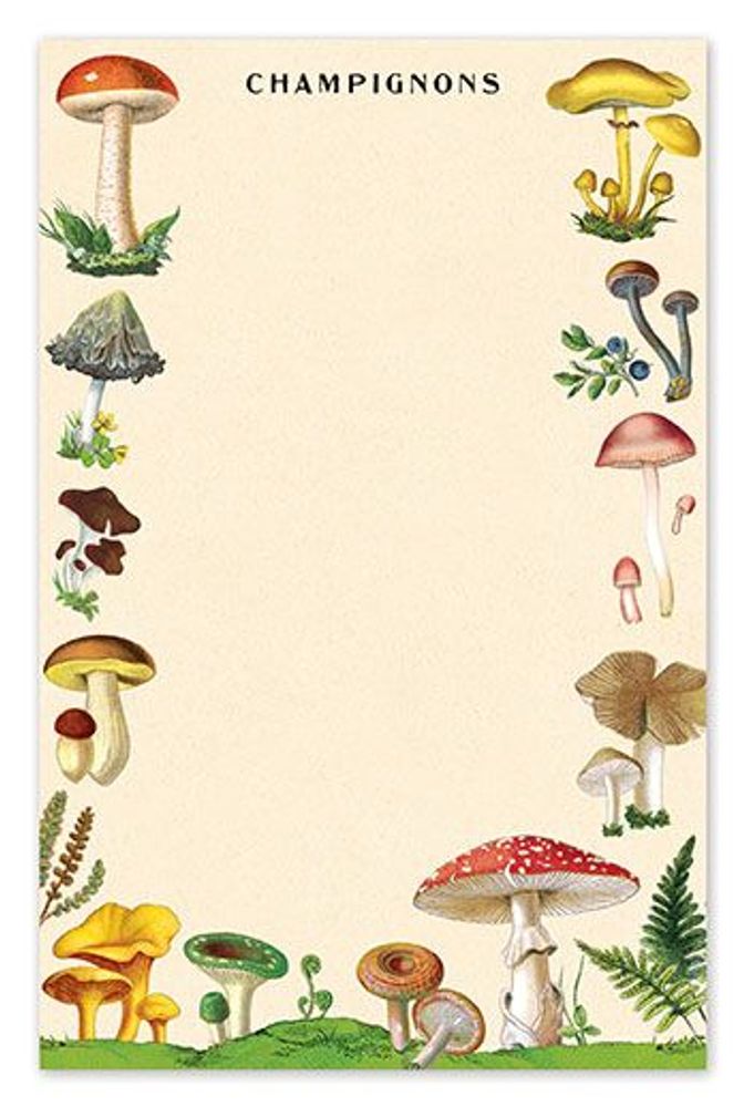 Papeterie - Notepads - CAVALLINI & CO.