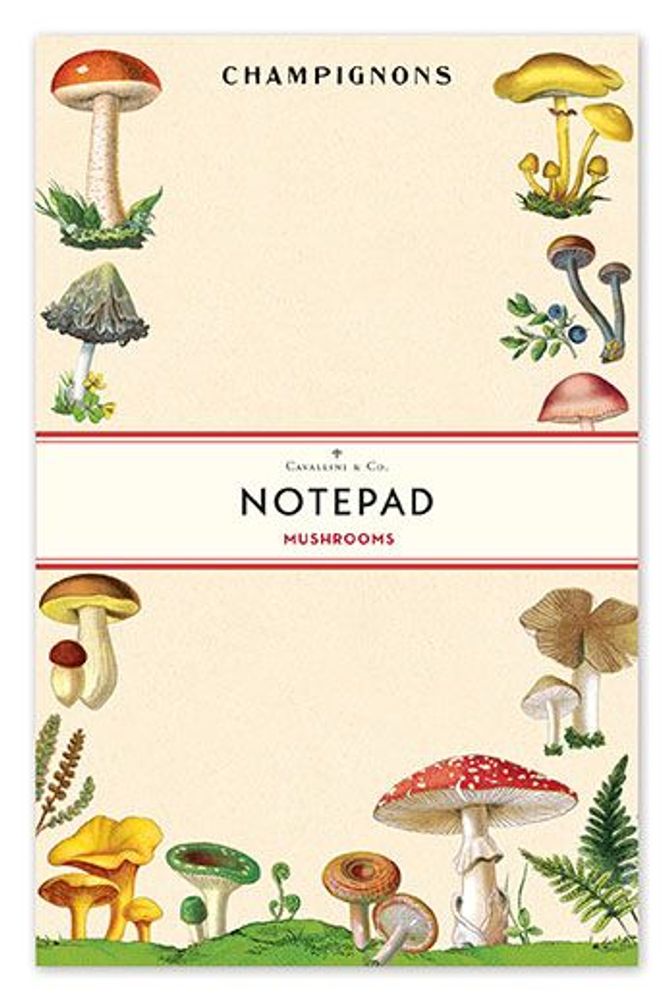 Papeterie - Notepads - CAVALLINI & CO.