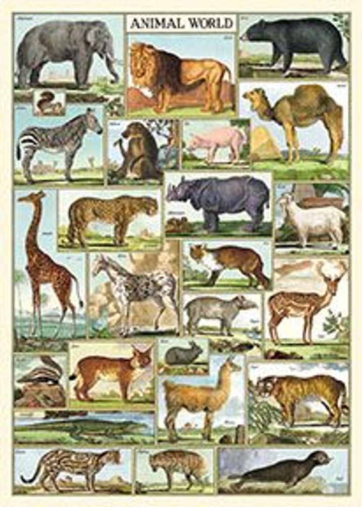 Affiches - Affiches Cavallini - CAVALLINI PAPER & CO.