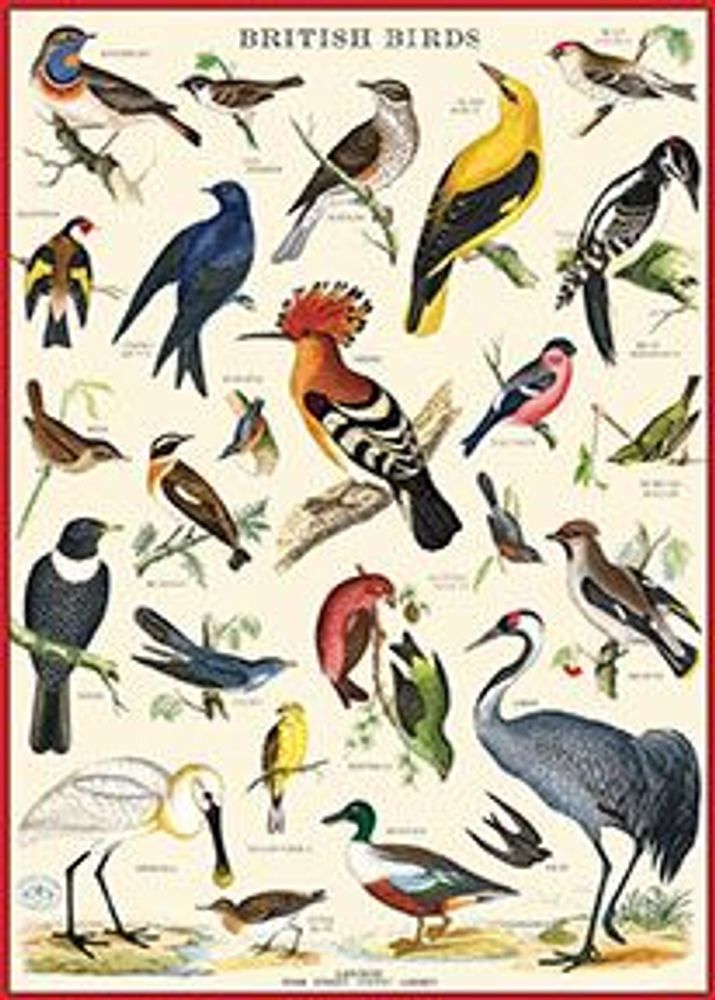 Affiches - Affiches Cavallini - CAVALLINI PAPER & CO.