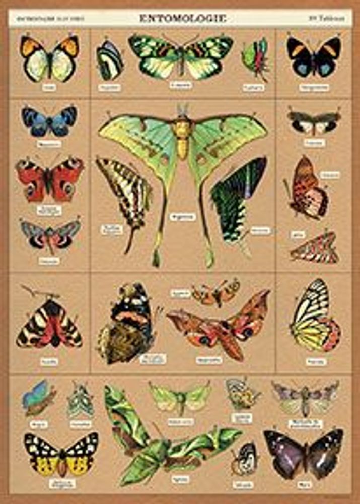Affiches - Affiches Cavallini - CAVALLINI PAPER & CO.