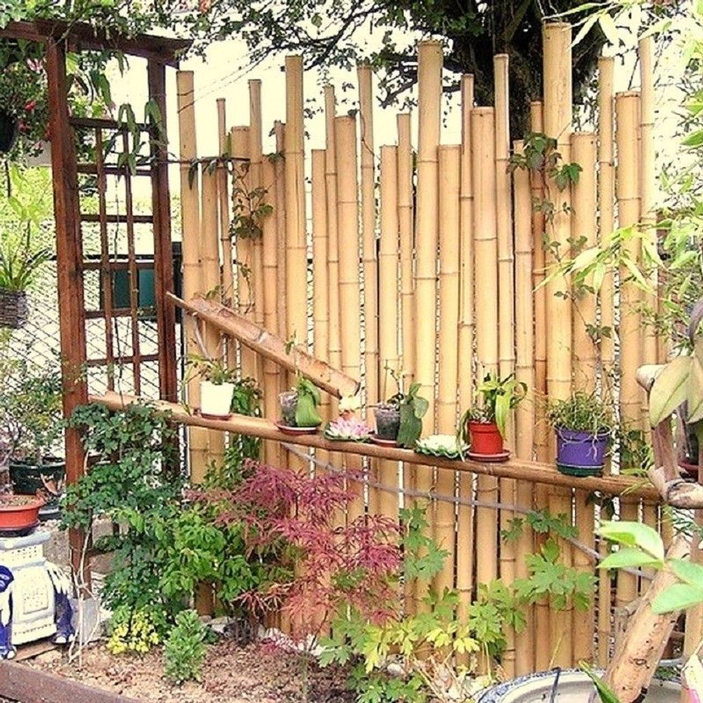 Outdoor decorative accessories - Blackout fence, massive bamboo partition from the Zen range - Ref: ZF - BAMBOULAND