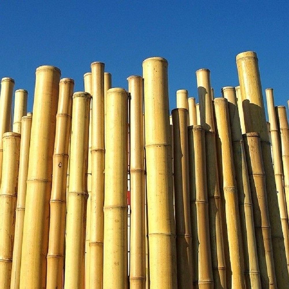 Outdoor decorative accessories - Blackout fence, massive bamboo partition from the Zen range - Ref: ZF - BAMBOULAND