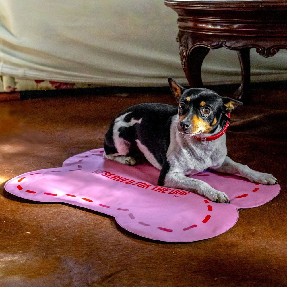 Contemporary carpets - Feeder mat - FISURA