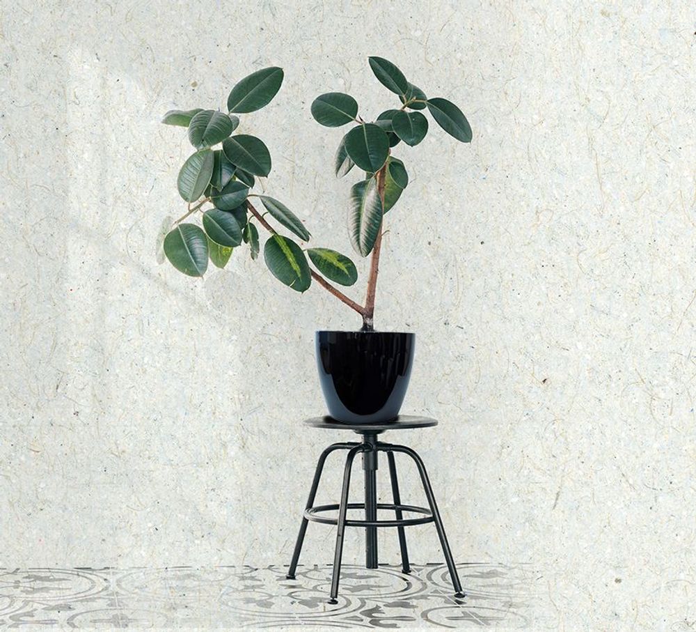 Vases - GERMINA - VASO VITA - VASES ORNEMENTAUX (DECORATIFS)