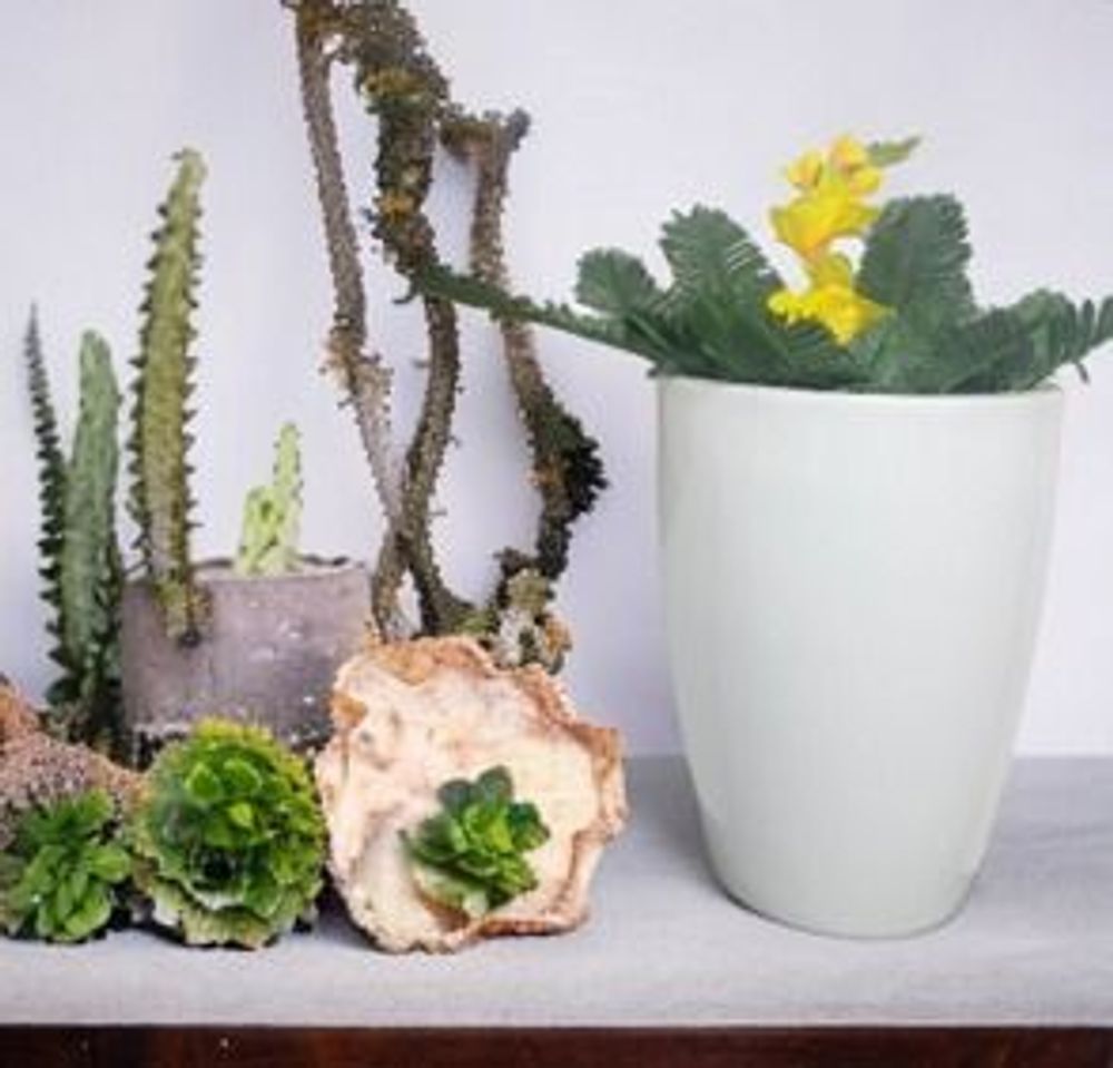 Vases - SEIVA - VASO VITA - VASES ORNEMENTAUX (DECORATIFS)