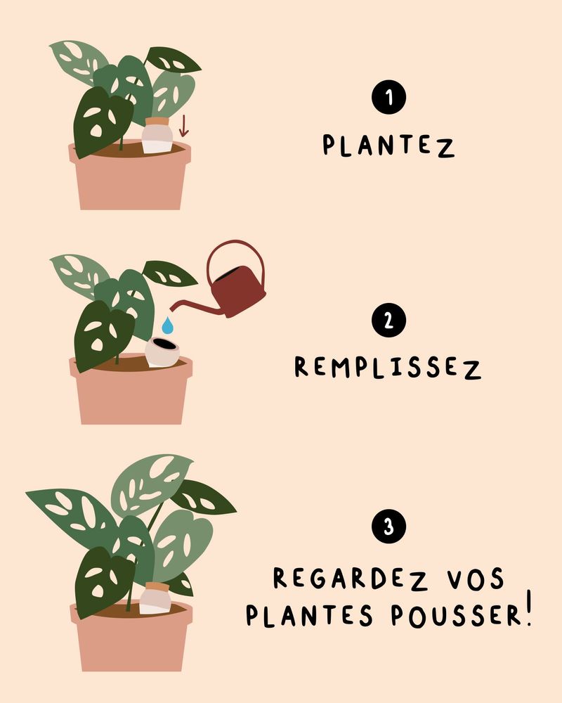 Accessoires de jardinage - Olla Hydratante - Blanc grainé - PEPIN