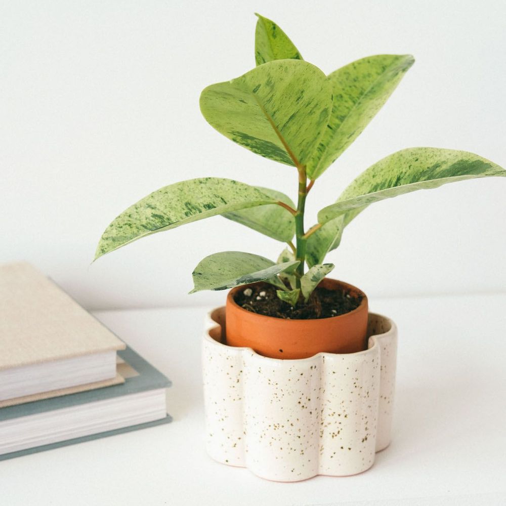 Vases - Self-watering pot Paula - Speckled white - PEPIN