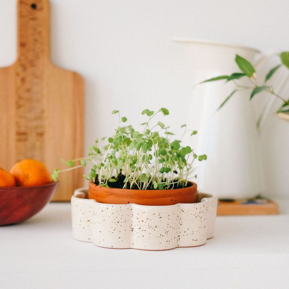 Ustensiles de cuisine - Pot autonome George (cuisine) - Blanc grainé - PEPIN