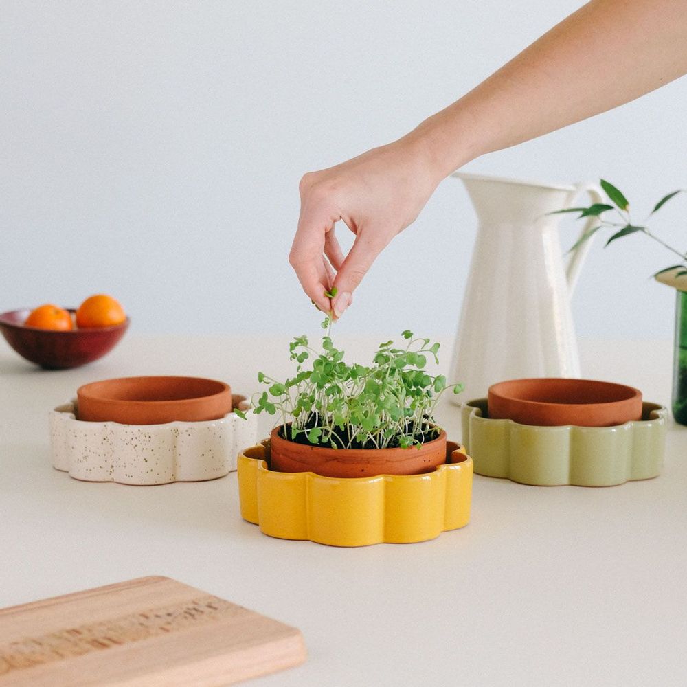 Ustensiles de cuisine - Pot autonome George (cuisine) - Blanc grainé - PEPIN