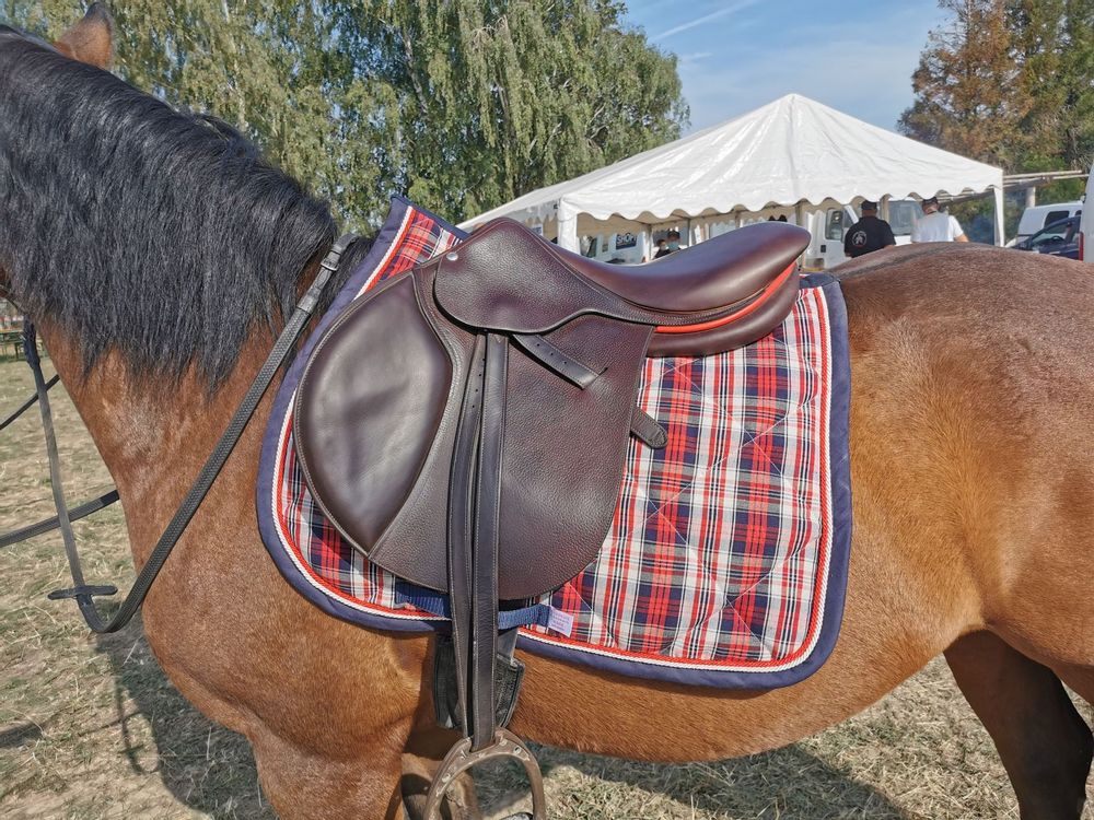 Pet accessories - DOG BANDANA AND MAT - KELSCH D' ALSACE  IN SEEBACH