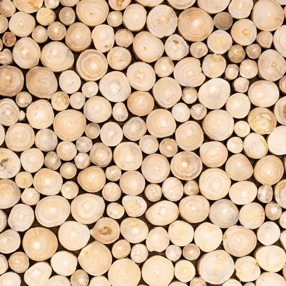 Coffee tables - Large teak log coffee table - JATI - HYDILE