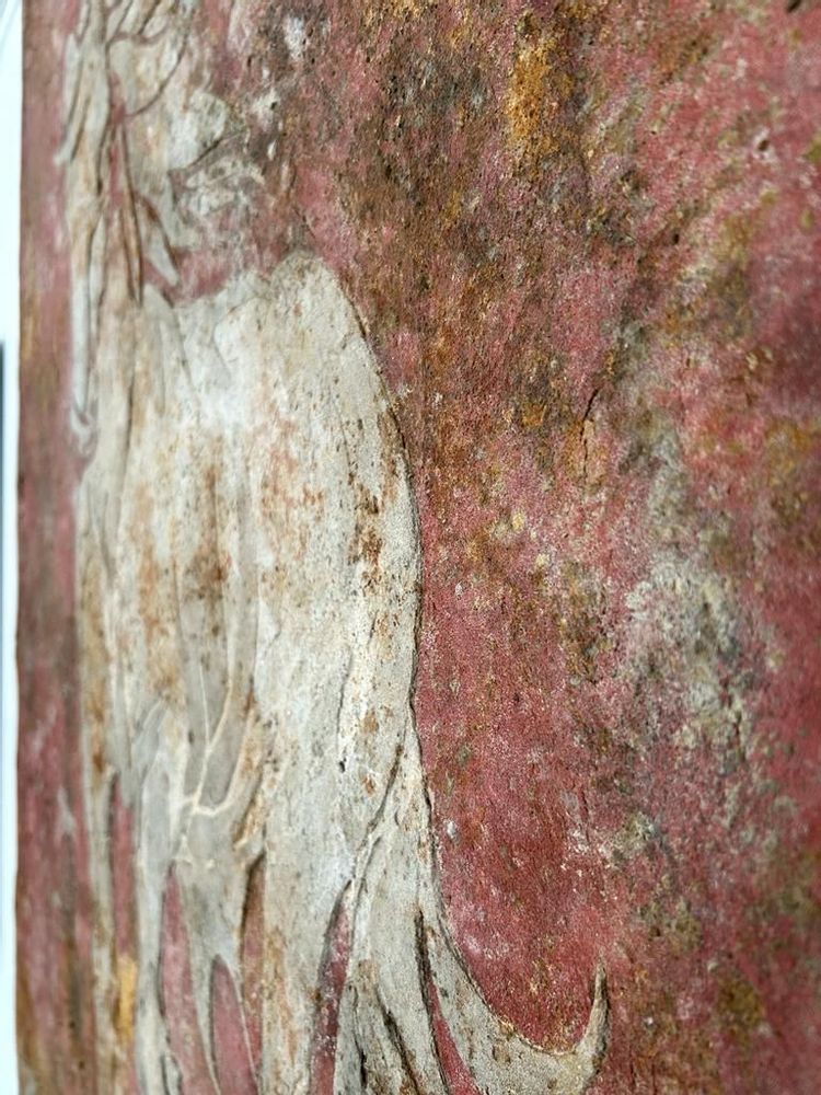 Tableaux - Tableau design Cheval. - ANTICARTSTONE