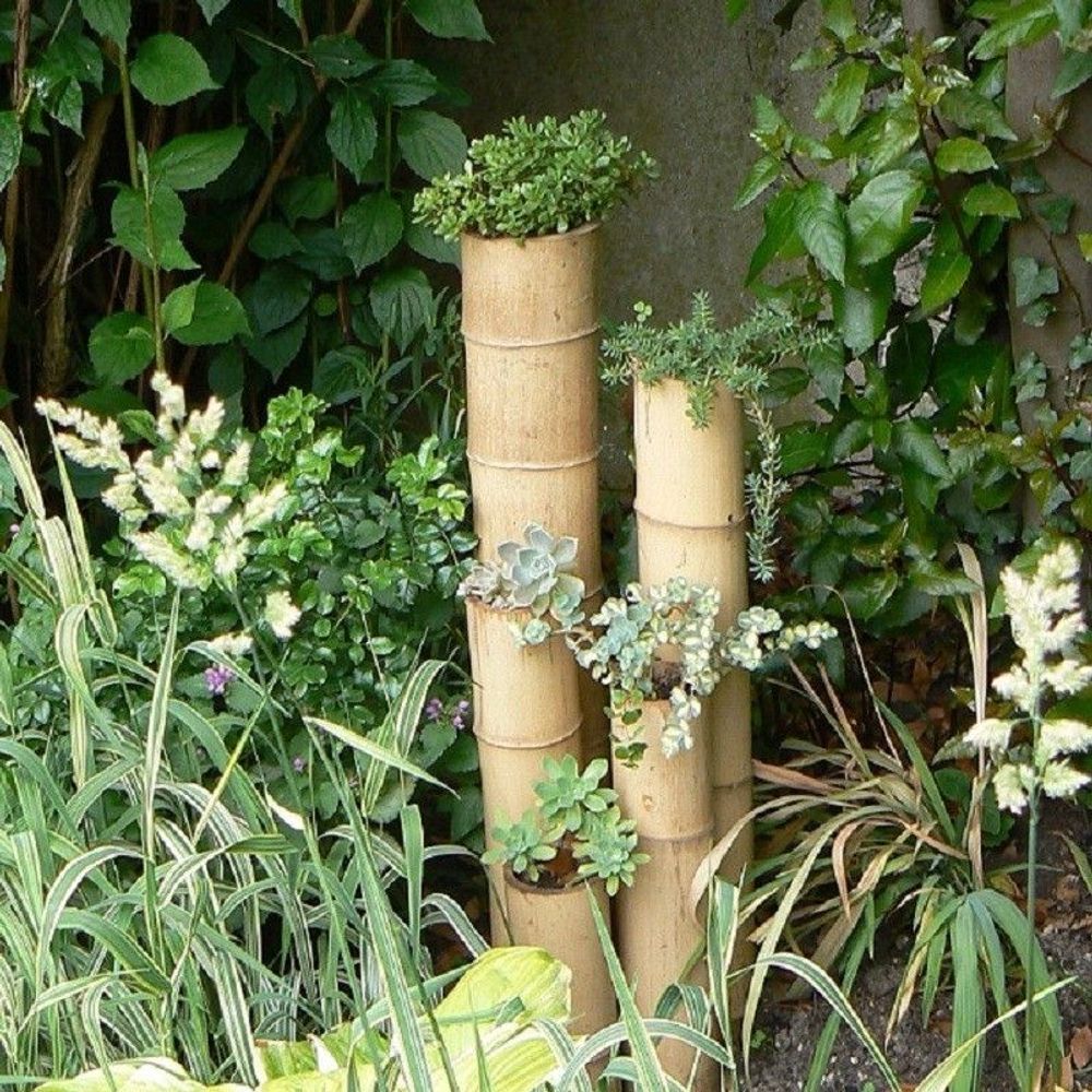 Accessoires de déco extérieure - LOT DE TIGES, CANNES DE BAMBOU NATUREL - DIFFERENTS DIAMETRES (BAS DE DESCRIPTION) - Réf : TIGE - BAMBOULAND